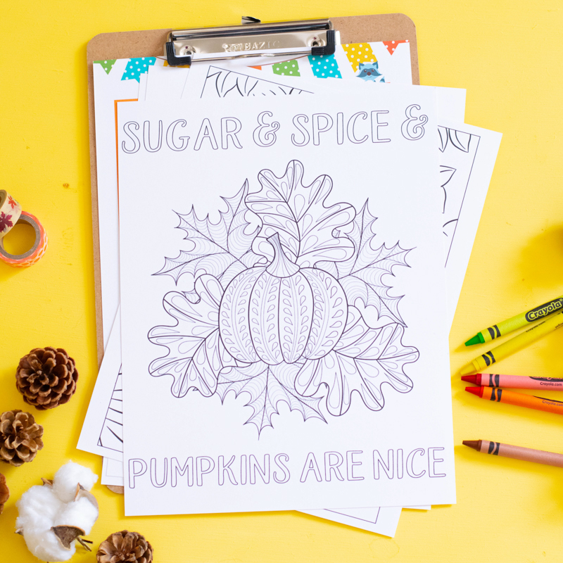 Thanksgiving Activity Kit