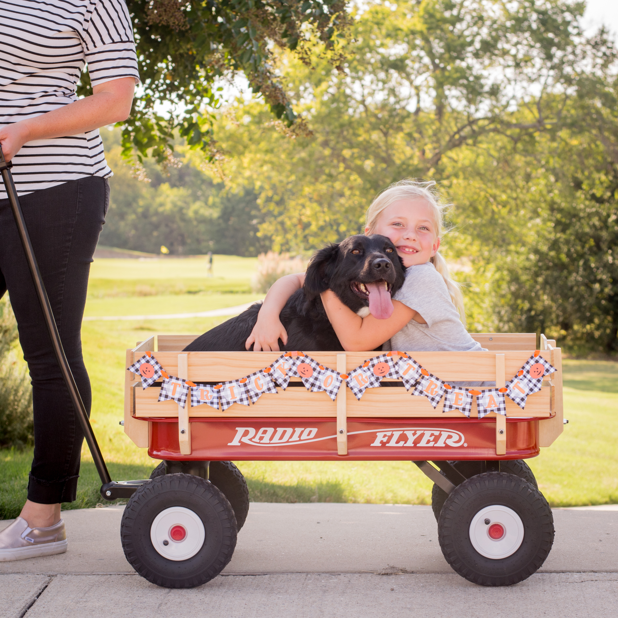 Trick or Treat Banner