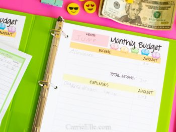 Monthly Budget Worksheet for Kids