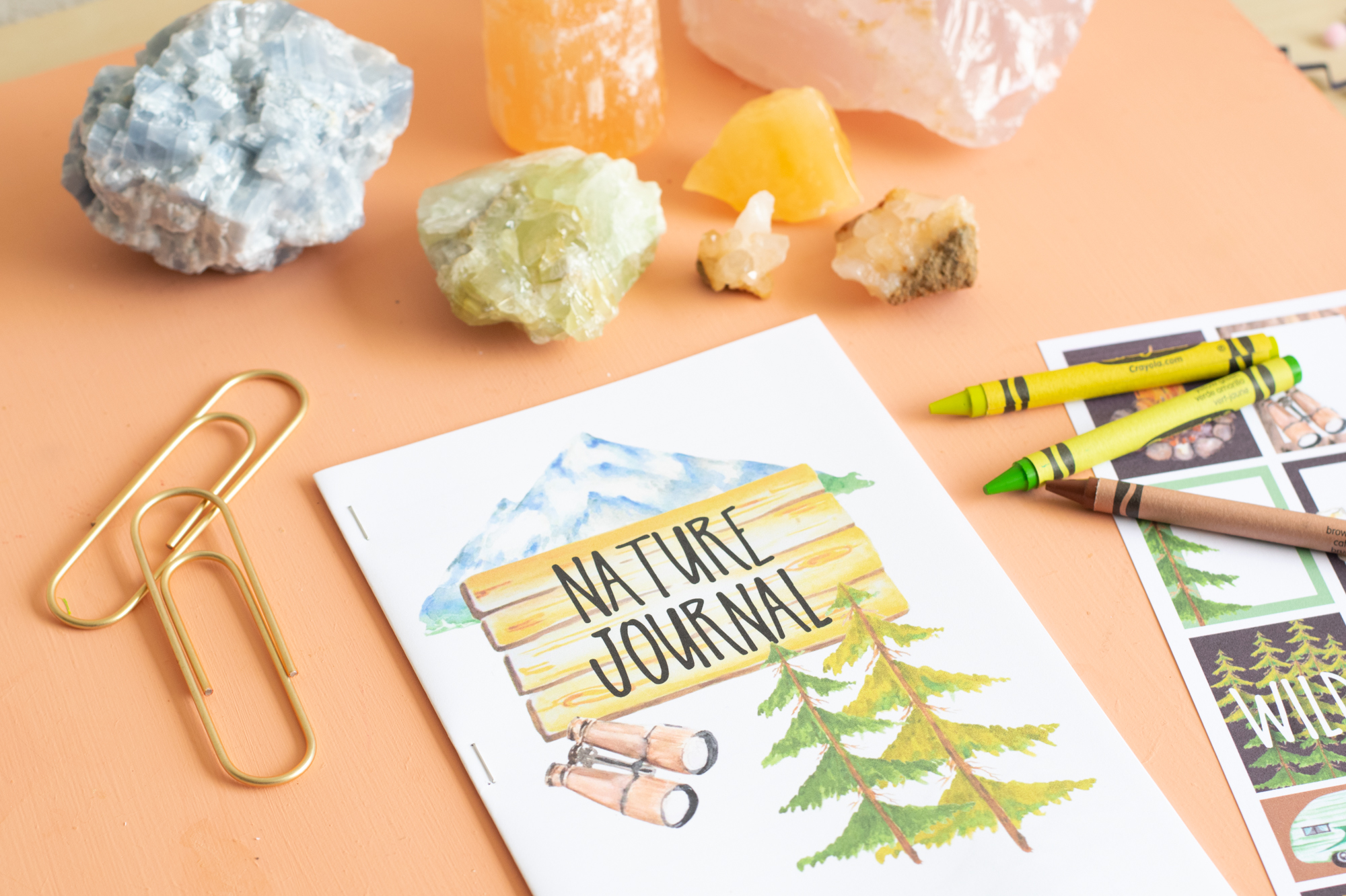 Nature Journal