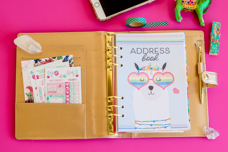 A5 Address Book Shop.CarrieElle.com
